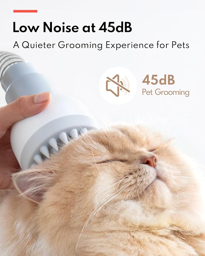 300W Multifunctional Pet Grooming Vacuum Cleaner - Image 8