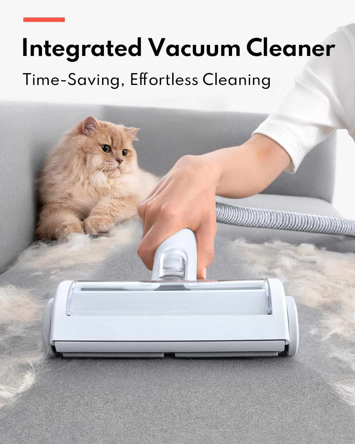 300W Multifunctional Pet Grooming Vacuum Cleaner - Image 4